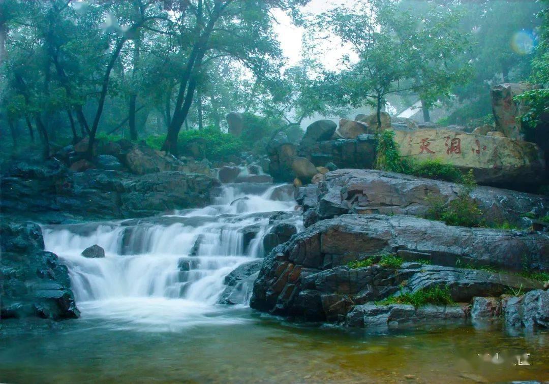 向上跳的香蕉